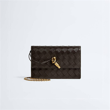 bottega veneta andiamo pouch on chain #844107